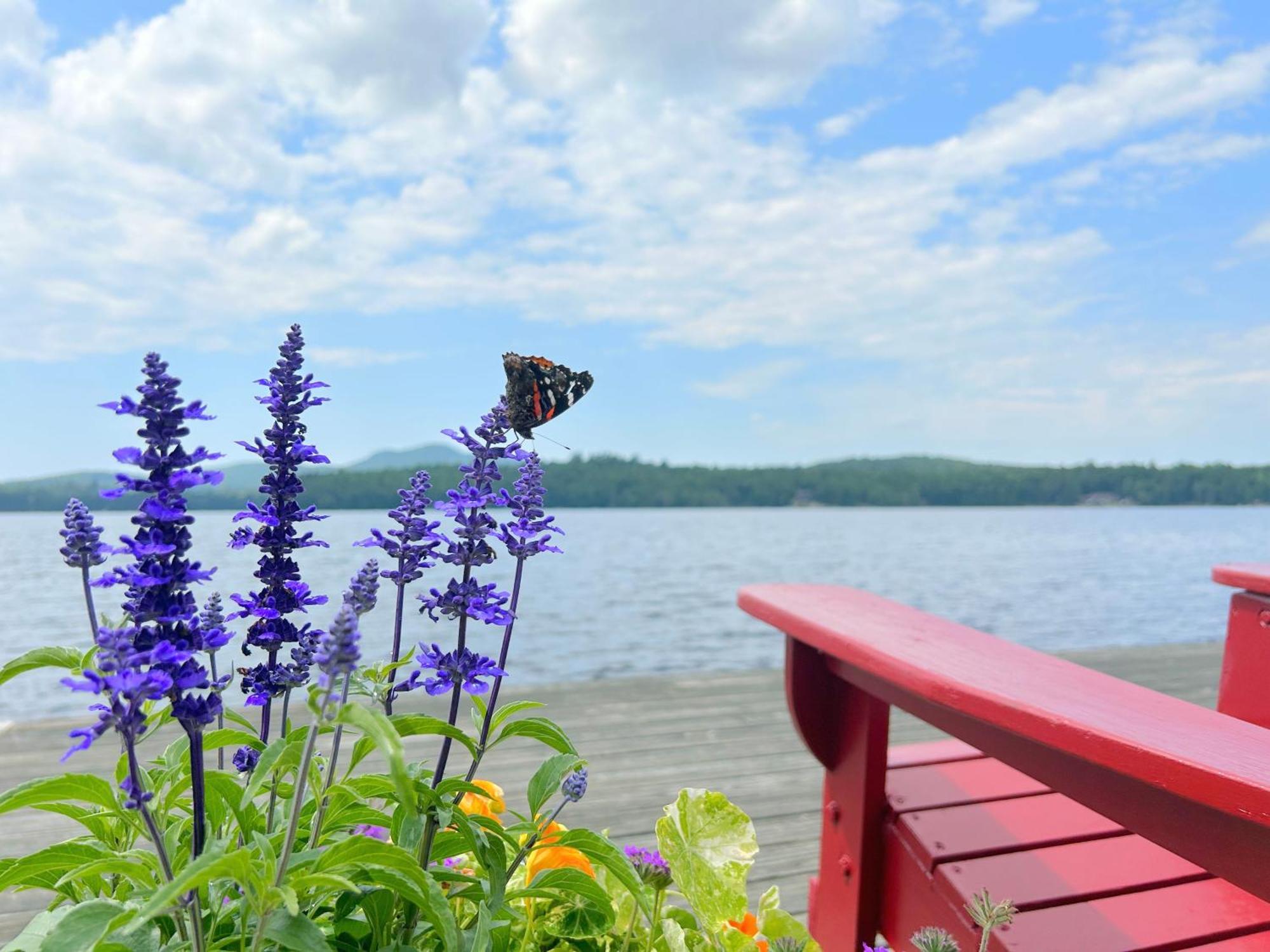 Paddler'S Rest Lakeside Cabins And Motel Long Lake Luaran gambar